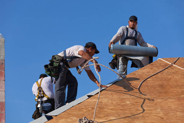 Best Roof Gutter Cleaning  in Wabasso Beach, FL