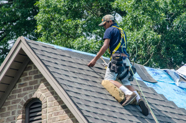 Best Shingle Roofing Installation  in Wabasso Beach, FL